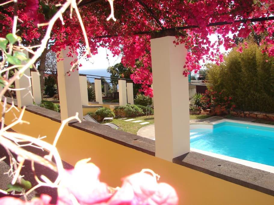 Private Pool Apt. With Great View Funchal  Exterior photo