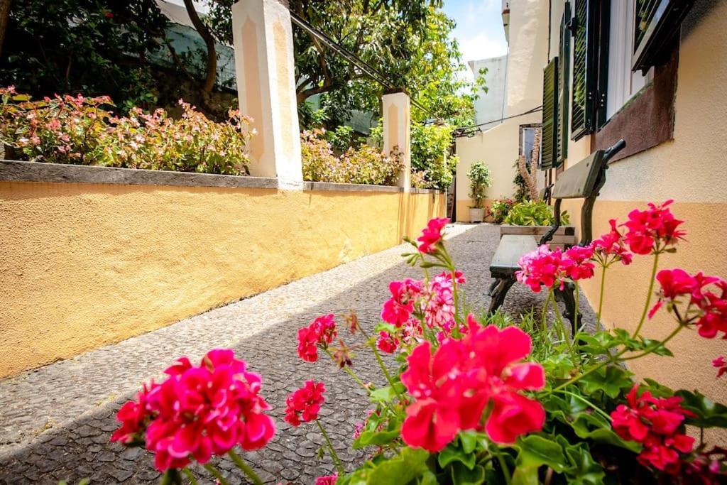 Private Pool Apt. With Great View Funchal  Exterior photo