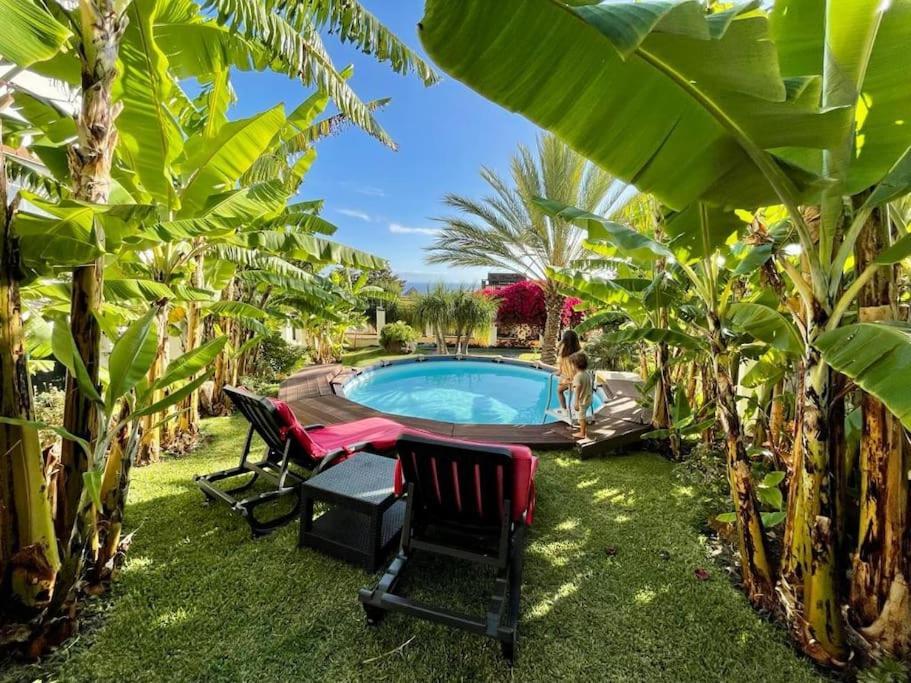 Private Pool Apt. With Great View Funchal  Exterior photo